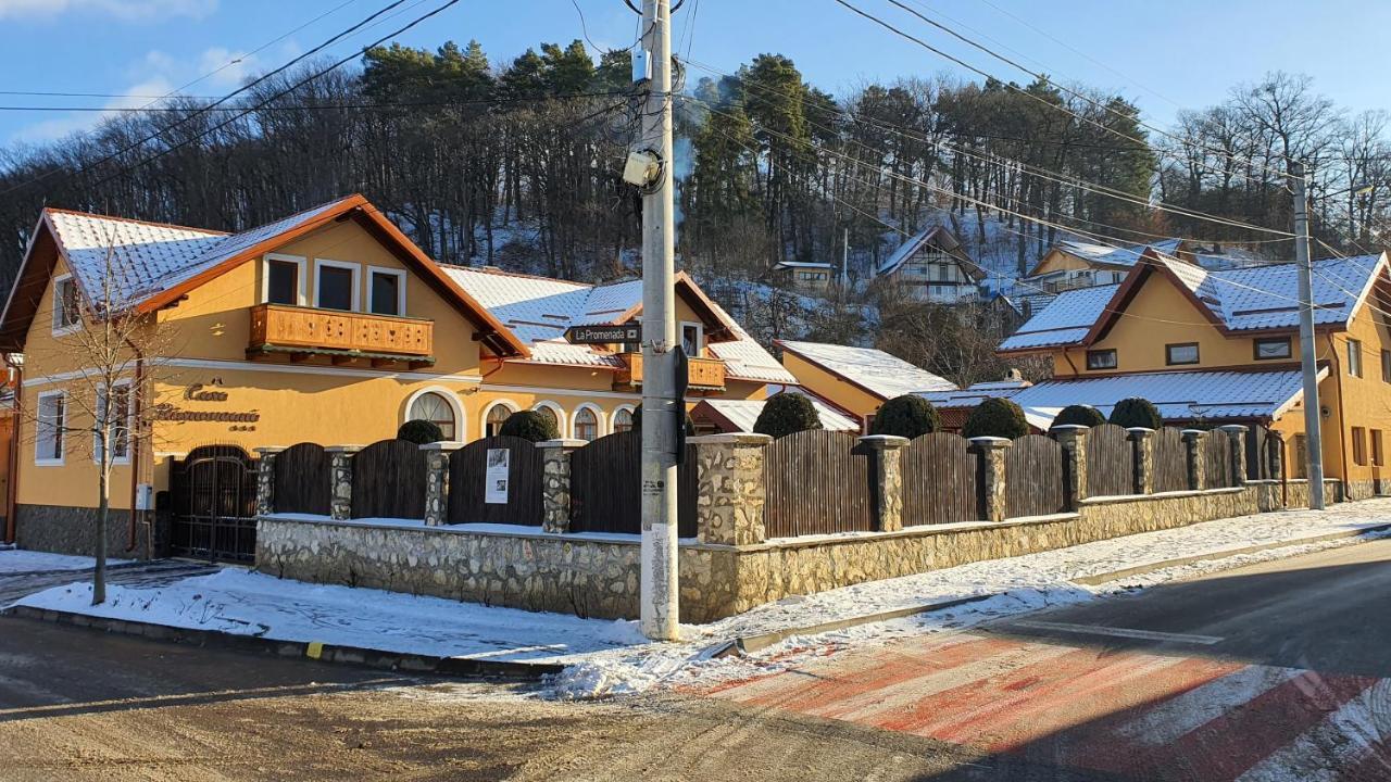 Casa Rasnoveana Екстериор снимка